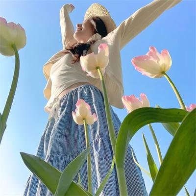 莲花楼